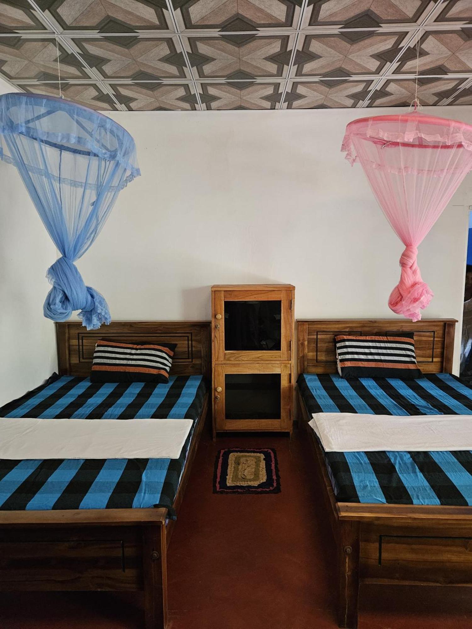 Sigiri Birds Hostel Sigiriya Pokoj fotografie